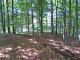 dscf0227_edited