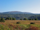 dscf0255_edited