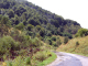 dscf0272_edited