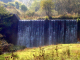 dsc00330_edited