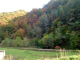 dsc00331_edited