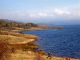 dsc00334_edited