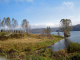 dsc00337_edited