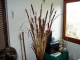 dsc00353_edited