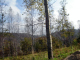 dsc00390_edited