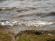 dsc00404_edited