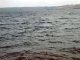 dsc00414_edited