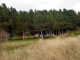 dsc00415_edited