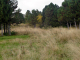 dsc00416_edited