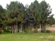 dsc00417_edited